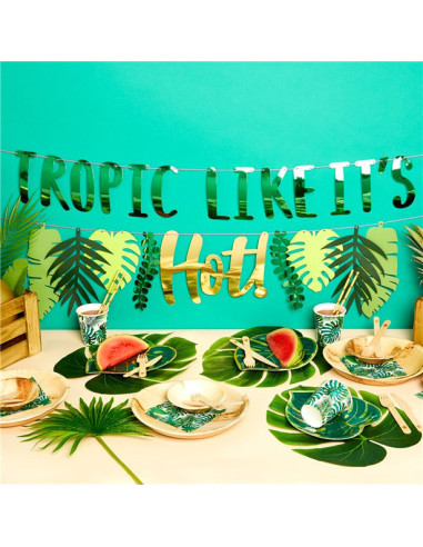 festa a tema tropicale in svizzera