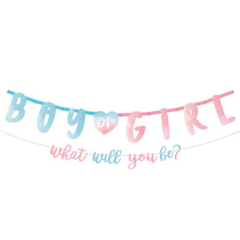Ghirlanda per baby shower "Maschio o femmina"