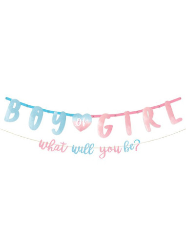 Ghirlanda per baby shower "Maschio o femmina"