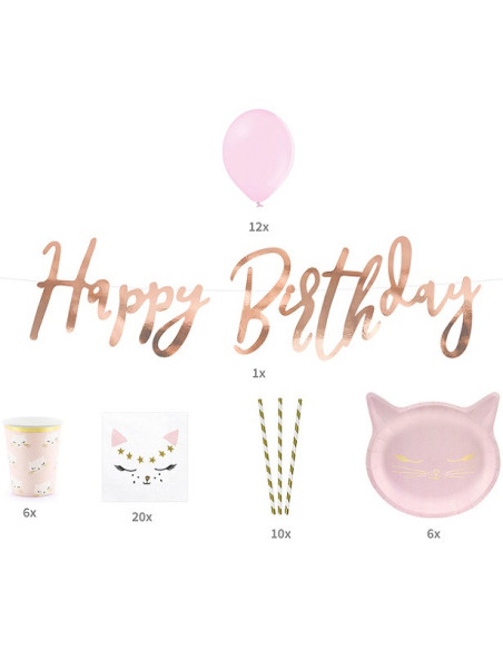 Rosa Katzen-Geburtstagsbox - 55 Stück - Kinderparty | BelleFete.ch