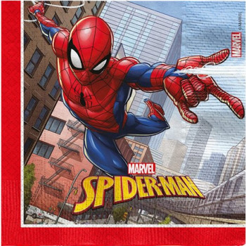20 Serviettes en Papier Spiderman pour Anniversaire Garçon – Décoration de Table Super-Héros - Bellefete.ch