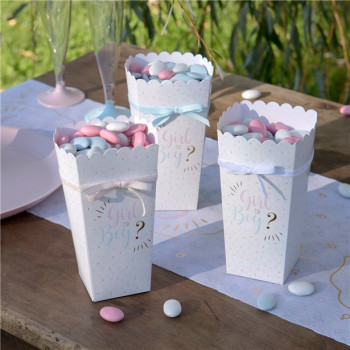 Popcorn-Boxen Baby Shower Mädchen oder Junge - Gender Reveal - Offenbarungsparty - Bellefete.ch 2
