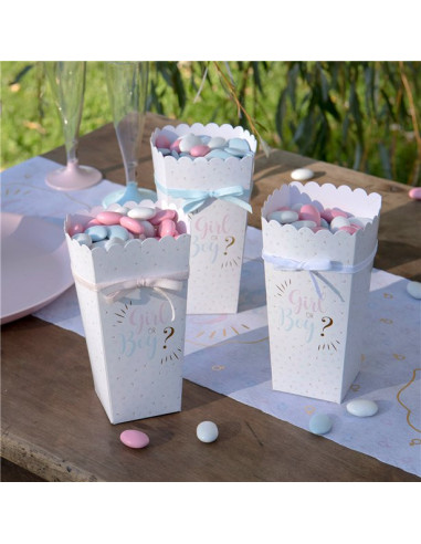 Popcornboxen für die Babyparty (Mädchen oder Junge) | Gender Reveal | BelleFete.ch