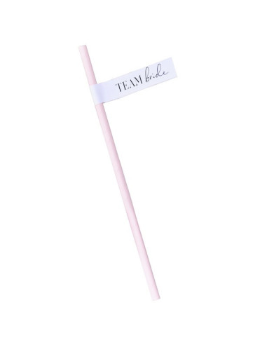 Pailles en papier "Team Bride"