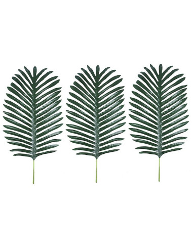 Grandes feuilles de palmier Hawaï