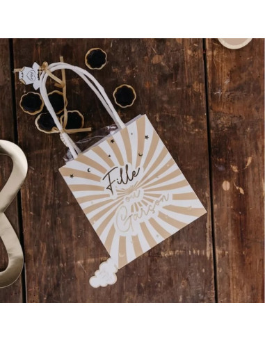 Borse regalo "femmina o maschio" - Rivelazione del sesso del bambino durante il baby shower