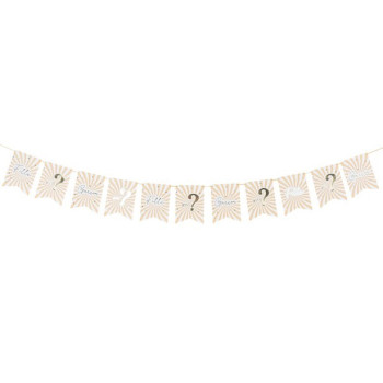 Party Girlande Baby Shower "Ragan oder Junge" - Gender Reveal - Bellefete.ch