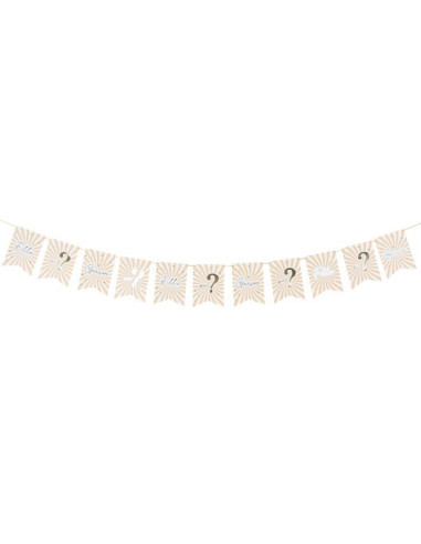 Guirlande de fête Baby Shower "Fille ou Garçon" - Gender Reveal - Bellefete.ch