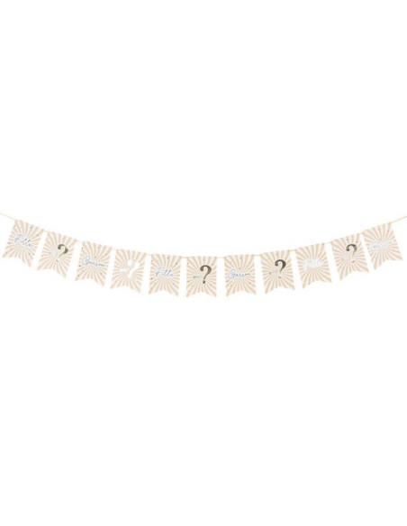 Party Girlande Baby Shower "Ragan oder Junge" - Gender Reveal - Bellefete.ch