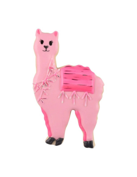 Tagliabiscotti a forma di lama - Stampo per biscotti Tagliabiscotti a forma di lama - Stampo per biscotti