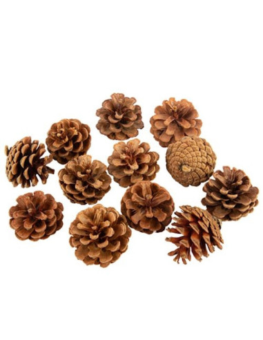 Pommes de Pin naturelles - Décoration Naturelle pour Fêtes  - Bellefete.ch