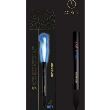 Fontaines à gâteaux Baby Shower Genrer Reveal - Garçon - Fête de révélation - Bellefete.ch 2