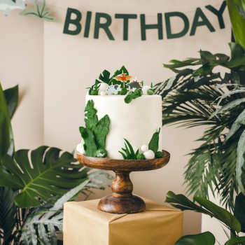 Bougies d'anniversaire Dinosaures - Bellefete.ch - Suisse - Décorations de fête Dinosaure 2