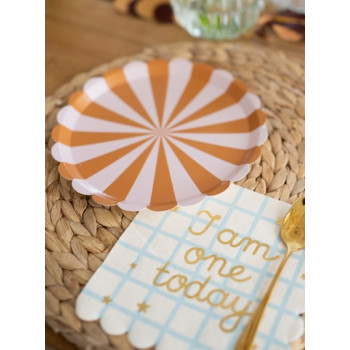 Assiettes de fête à rayures Brun et Rose – lot de 6 assiettes pour anniversaire enfant | BelleFete.ch 2