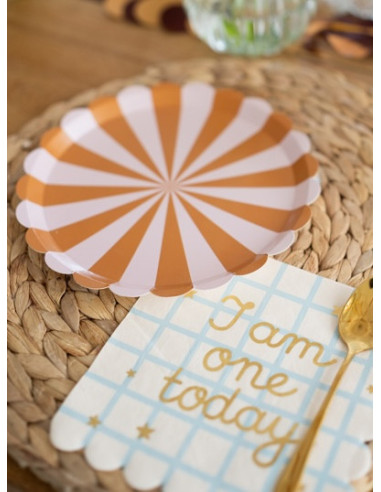 Piatti per feste a righe marroni e rosa – Set da 6 | Decorazioni per compleanni per bambini | BelleFete.ch
