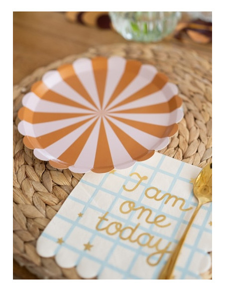 Assiettes de fête à rayures Brun et Rose – Lot de 6 | Déco anniversaire enfant | BelleFete.ch