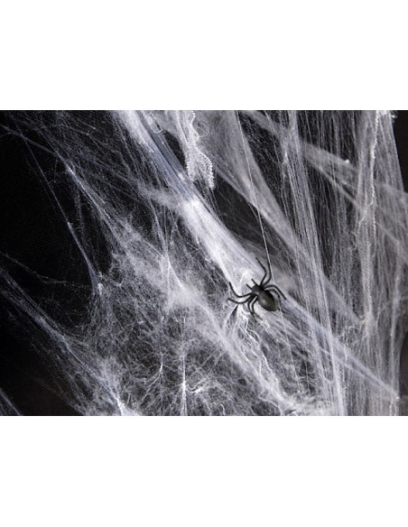 Toile d'Araignée Blanche 60g - Déco Halloween