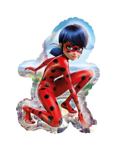 bouquet de ballons anniversaire miraculous