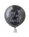 Ballon, der das Geschlecht des Babys verrät