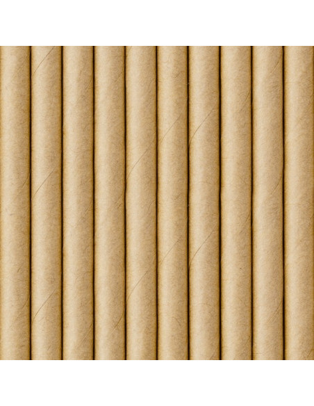 Pailles de fête en papier Kraft - Articles de fête en Suisse - Bellefete.ch