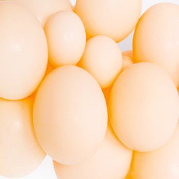 Palloncini Strong Pesca Pallido Pastello - Palloncini da festa sostenibili - Svizzera 2